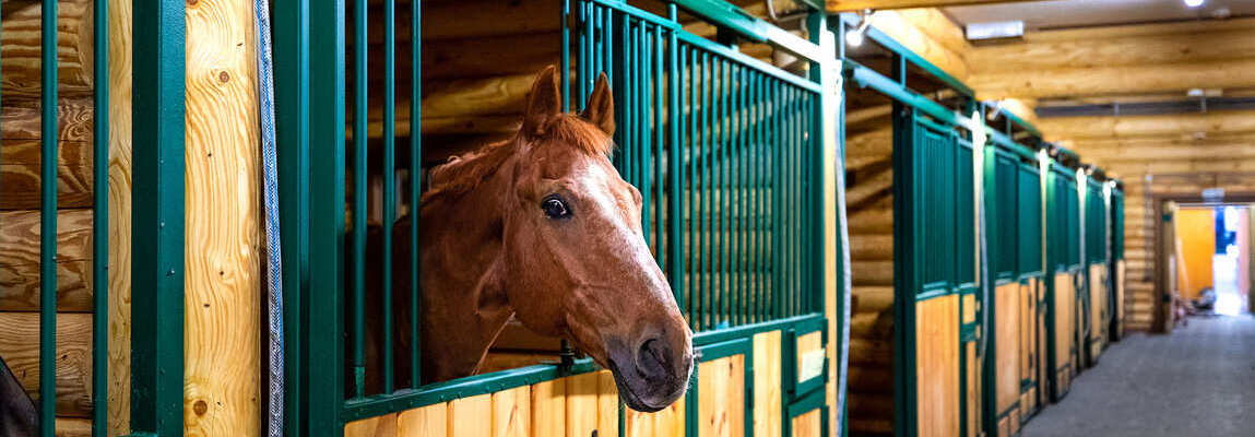 facades in stalls metal, wood, custom-made, quality Order Equine-hoese
